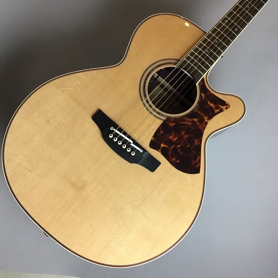 エレアコギターTakamine/DMP50S