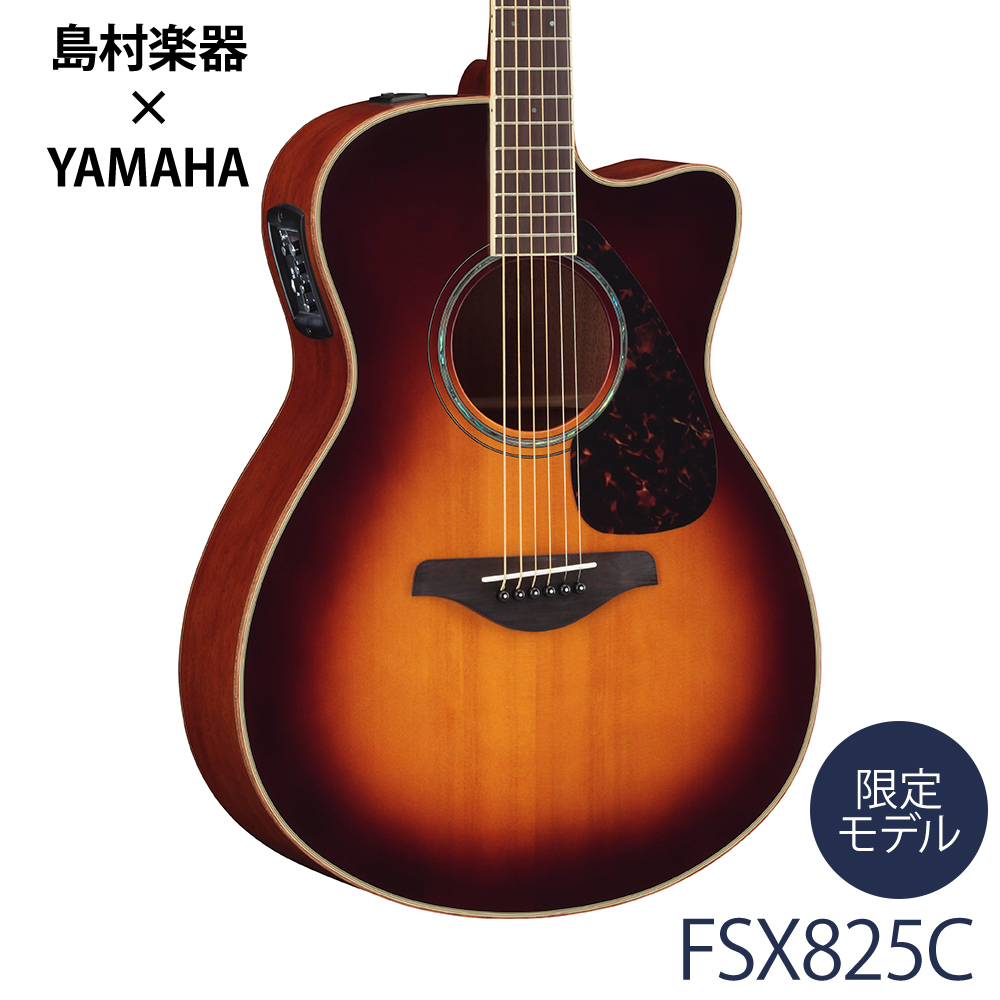 エレアコギターYAMAHA/FSX825C