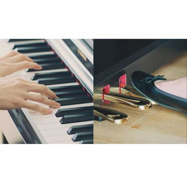 低音域の重厚感のあるタッチから、高音域の軽やかなタッチまで、グランドピアノの弾き心地を再現する「グレードハンマー3（GH3）鍵盤」を搭載しています。