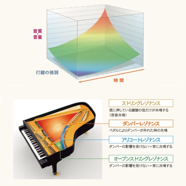 ピアノの音を弱音から強音まで余すところなく演奏できる性能と広い表現幅を追求。自然な音色変化を実現したマルチ・ディメンショナル・モーフィング技術を生かすことで、繊細なタッチのニュアンスを意のままに表現できます。