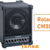 多目的に使える30Wミキシング・モニター！【Roland】 CM30 モニタースピーカー 販売中！