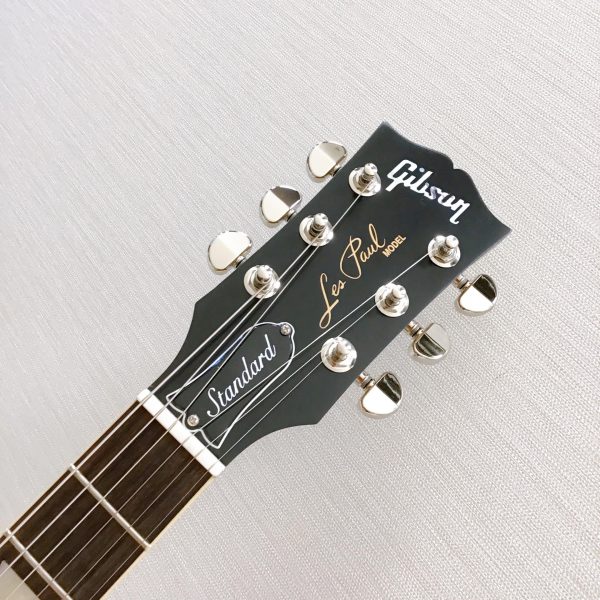 往年のロックサウンドを求めるギタリストには是非ともオススメしたい仕様となっています。