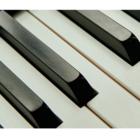 本格的なグランドピアノをはじめ、ポップスやジャズなどのさまざまなジャンルに対応したピアノ音色のほか、エレクトリックピアノ、オルガン、ストリングス、ベースといった23種類の音色を搭載。