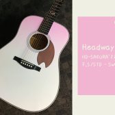 九州地区限定オリジナルカラー！Headway HD-SAKURA’22 F,S/STD – SWGR 入荷致しました！