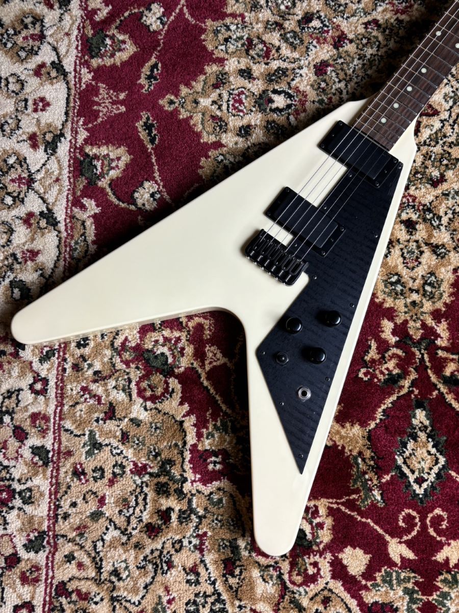 エレキギターSCHECTER:PS-FV-FXD/VWH/R