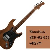 ビンテージライクな乾いた鳴り！【Bacchus】BSH-ASH25 WRS/M 入荷致しました！