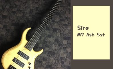 豊かな響きを持ったサウンド！【Sire】M7 Ash 5st 入荷致しました！