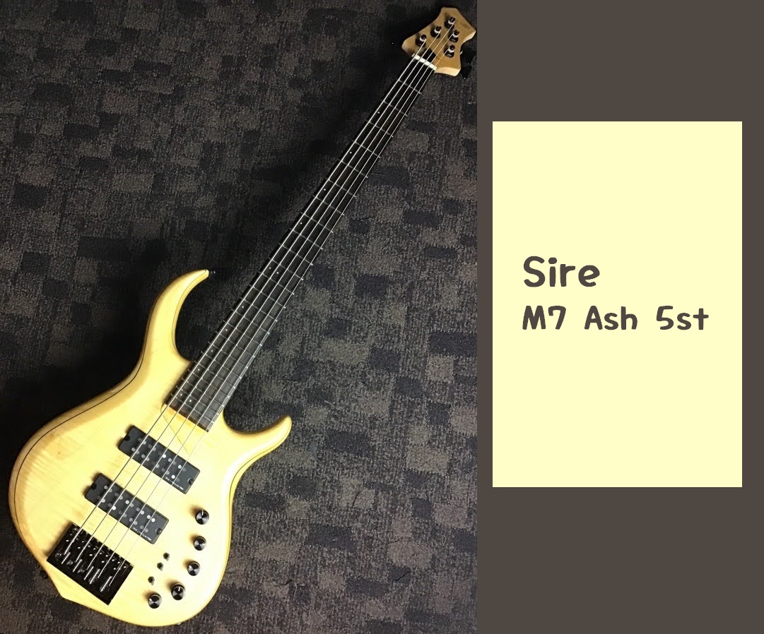 島村楽器大分店にSire(サイアー)のエレキベース『M7 Ash 5st』が入荷致しました！ 演奏者に一台の楽器で様々なトーンを駆使できるようにSIREとマーカス・ミラーの哲学が込められたPREAMPアクティブ/パッシブ転換が可能で、ハムバッカーピックアップごとに変更機能（シングル、ハムバッカー、直 […]