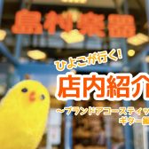 【ひよこが行く！】島村楽器大分店＊店内紹介～アコースティックギター(ブランドギター)編～