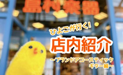 【ひよこが行く！】島村楽器大分店＊店内紹介～アコースティックギター(ブランドギター)編～