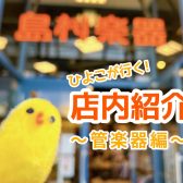 【ひよこが行く！】島村楽器大分店＊店内紹介～管楽器編～