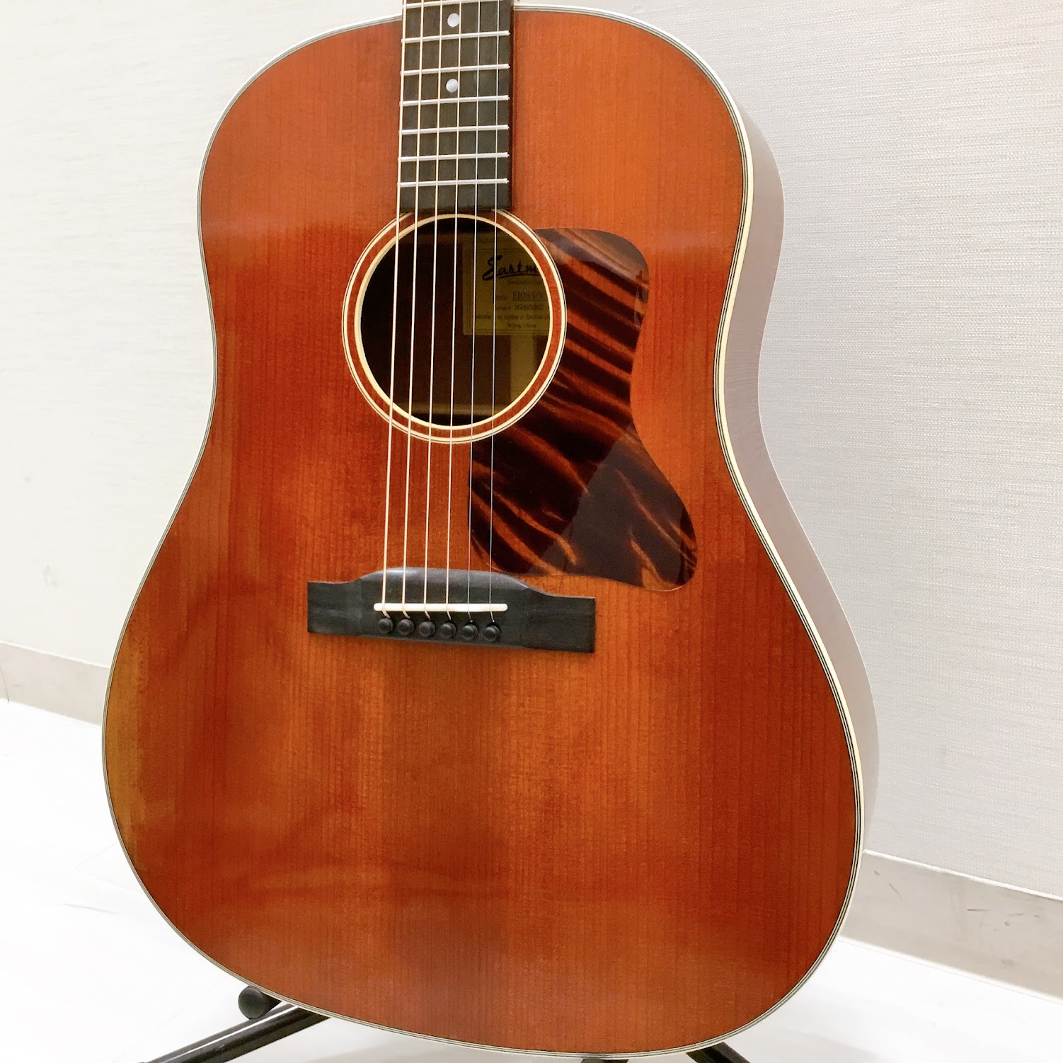 アコースティックギターEastman：E10SS/v