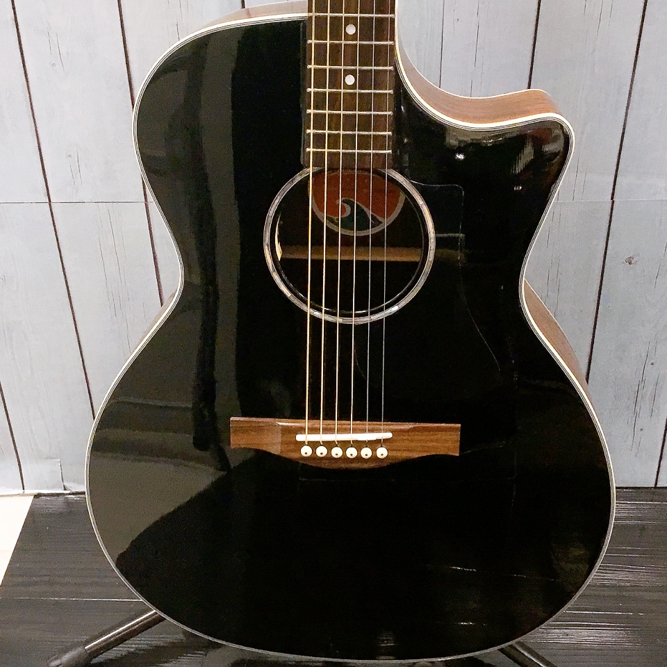 エレアコギターEastman：PCH2-GACE-BK
