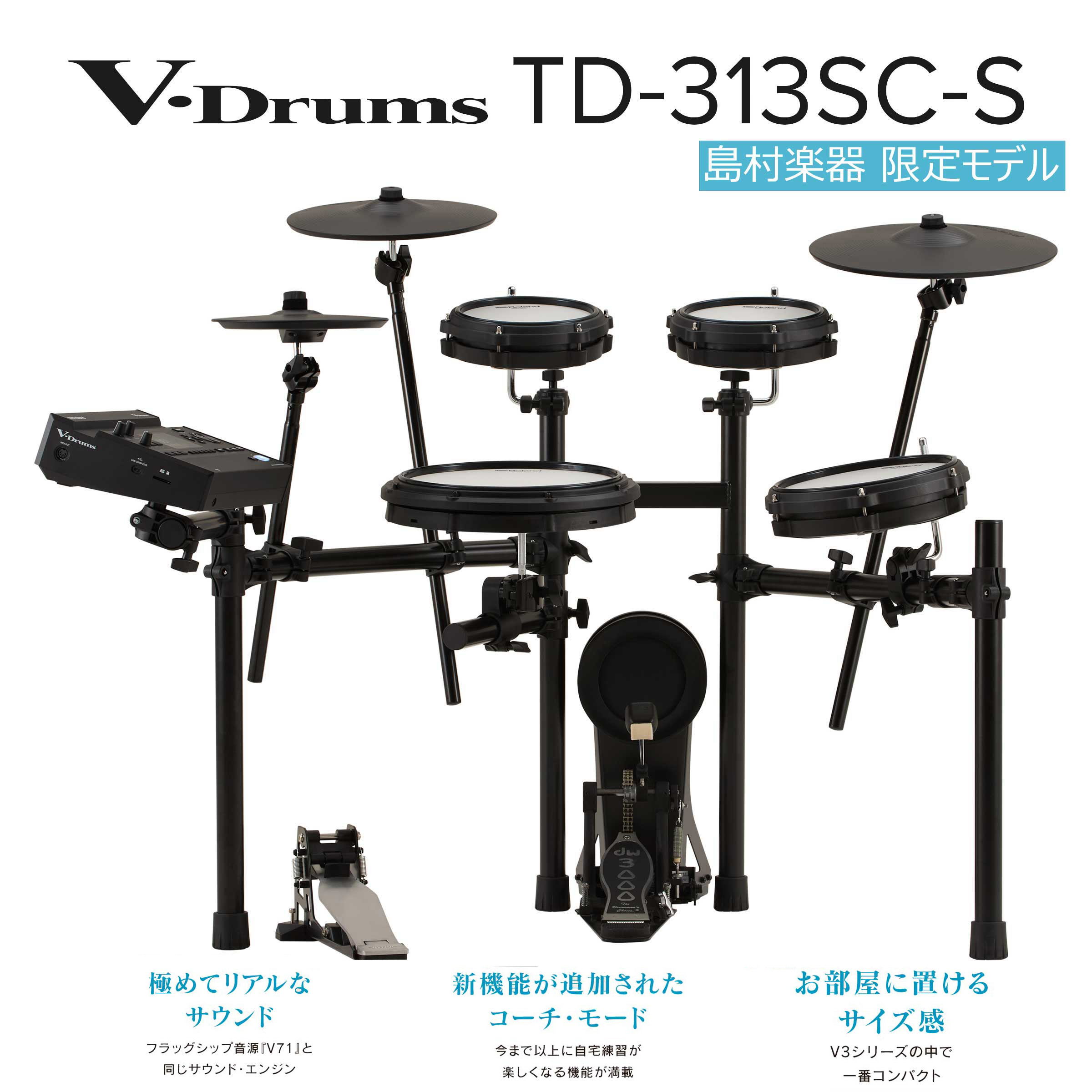RolandTD313SC-S