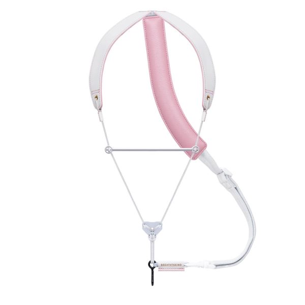 シロと桜（さくら）