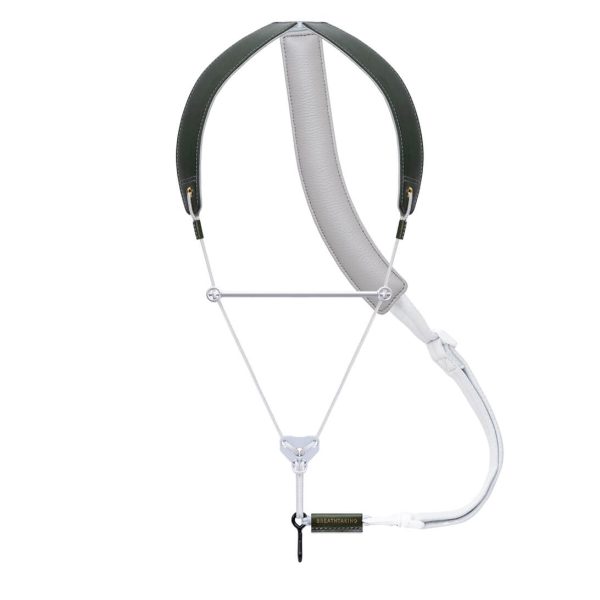 オリーブと銀⿏（ぎんねず）