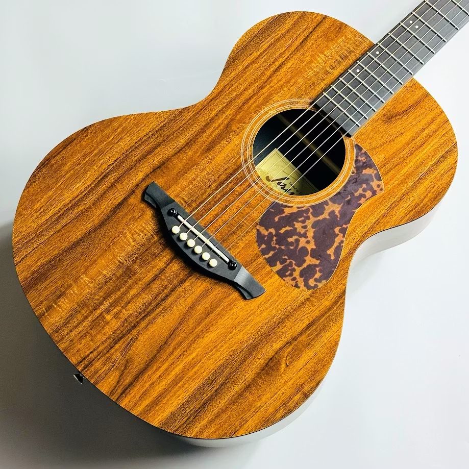 アコースティックギターJames J-100A