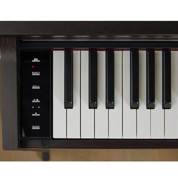 スリムでスタイリッシュなフォルムに、表現力豊かなタッチと充実した機能を搭載。演奏性、デザイン性、コストパフォーマンスを兼ね備え、はじめての1台にふさわしい2024年発売のモデルです。