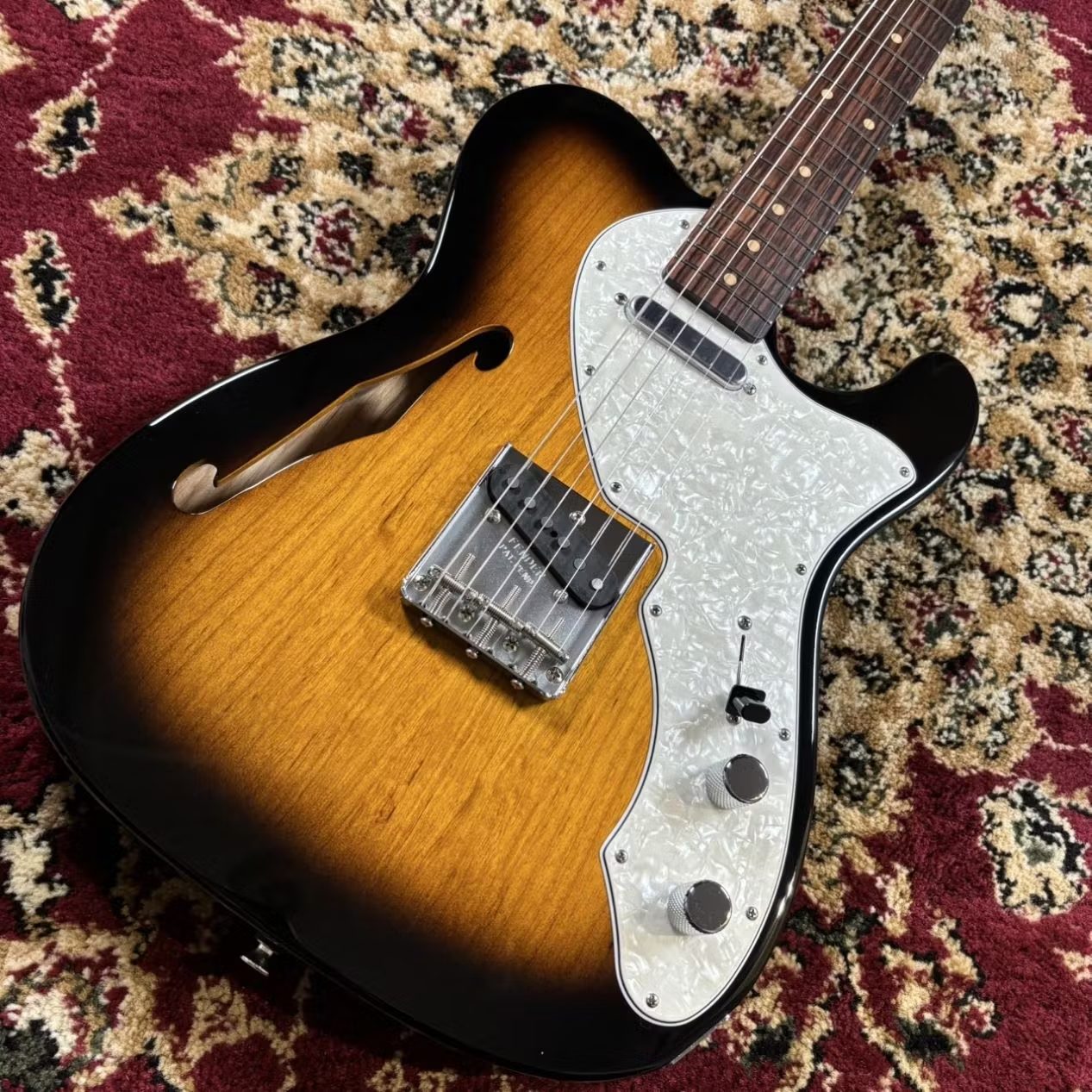 Freedom Custom Guitar ResearchC.S. Retro Series TE-TL Hollow 2TS