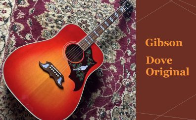 【入荷情報】Gibson Dove Original｜美しさと煌めくサウンドを纏った至極のアコースティックギター！