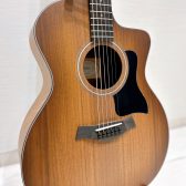 Taylor 124ce Special Edition ― 大分店に入荷しました！【高解像度サウンドを実現。】