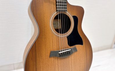 Taylor 124ce Special Edition ― 大分店に入荷しました！【高解像度サウンドを実現。】