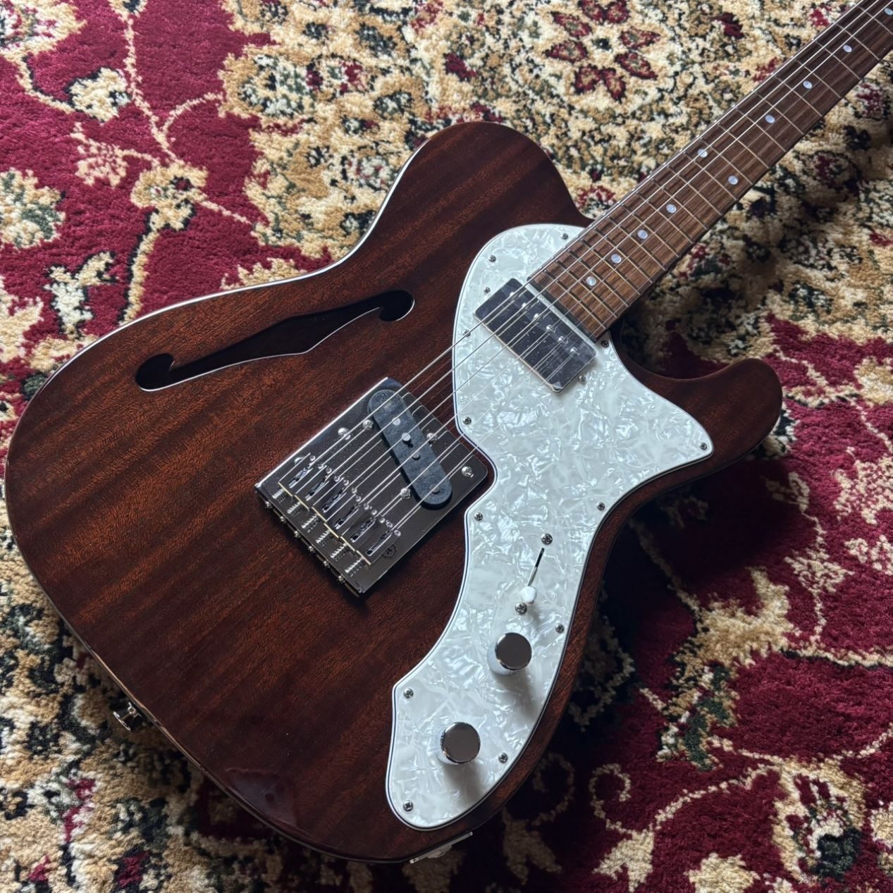FREEDOM CUSTOM GUITAR RESEARCHC.S. TE Pepper H II