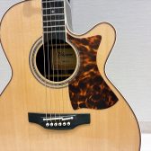 Takamine「DMP50S」が大分店に入荷！ステージ映えする高品位エレアコギター