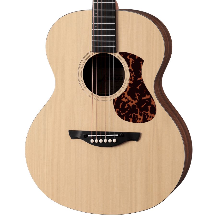 アコースティックギターJames/J-100A