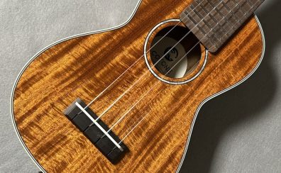 初心者さんにオススメのウクレレを弾き比べてみた!【ウクレレ徹底チェック🌴】