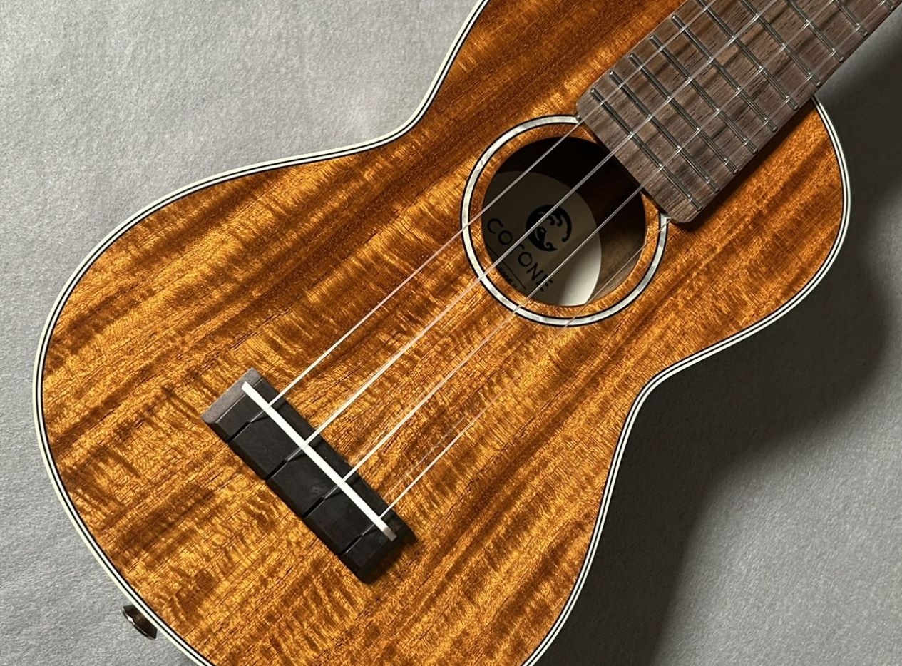 島村楽器パークプレイス大分店では、優しい音色が特徴のウクレレを店頭販売中です🎶 当店の音楽教室でもウクレレは人気コースの一つ💡「初めての楽器」として選ばれることが多い楽器です！この記事では、実際にスタッフが弾き比べてみて「初心者さん目線」で感じたポイントを中心にご紹介します！ CONTENTS📍選ぶ [&hellip;]