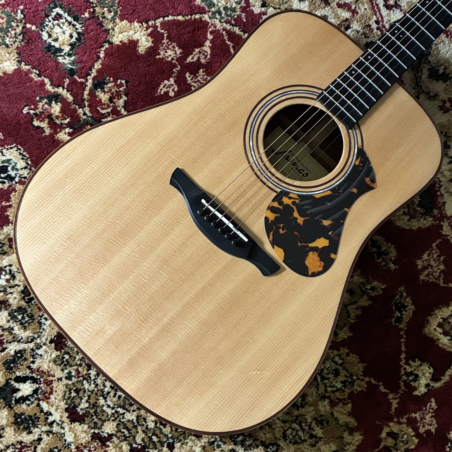 エレアコギターJames：J-900/L