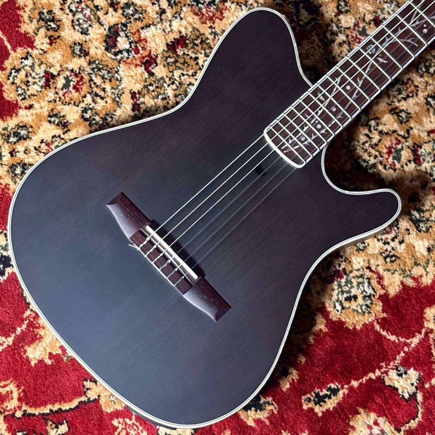クラシックギターIbanez：TOD10N