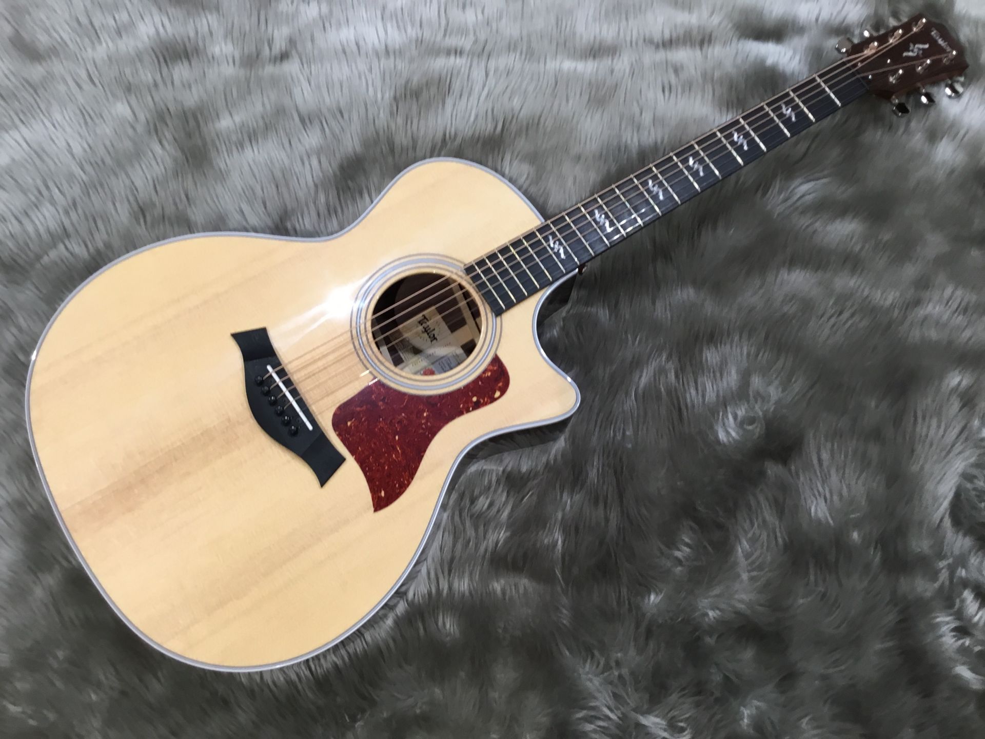 【アコースティックギター】世界が注目するTaylor V-Classシリーズが入荷！