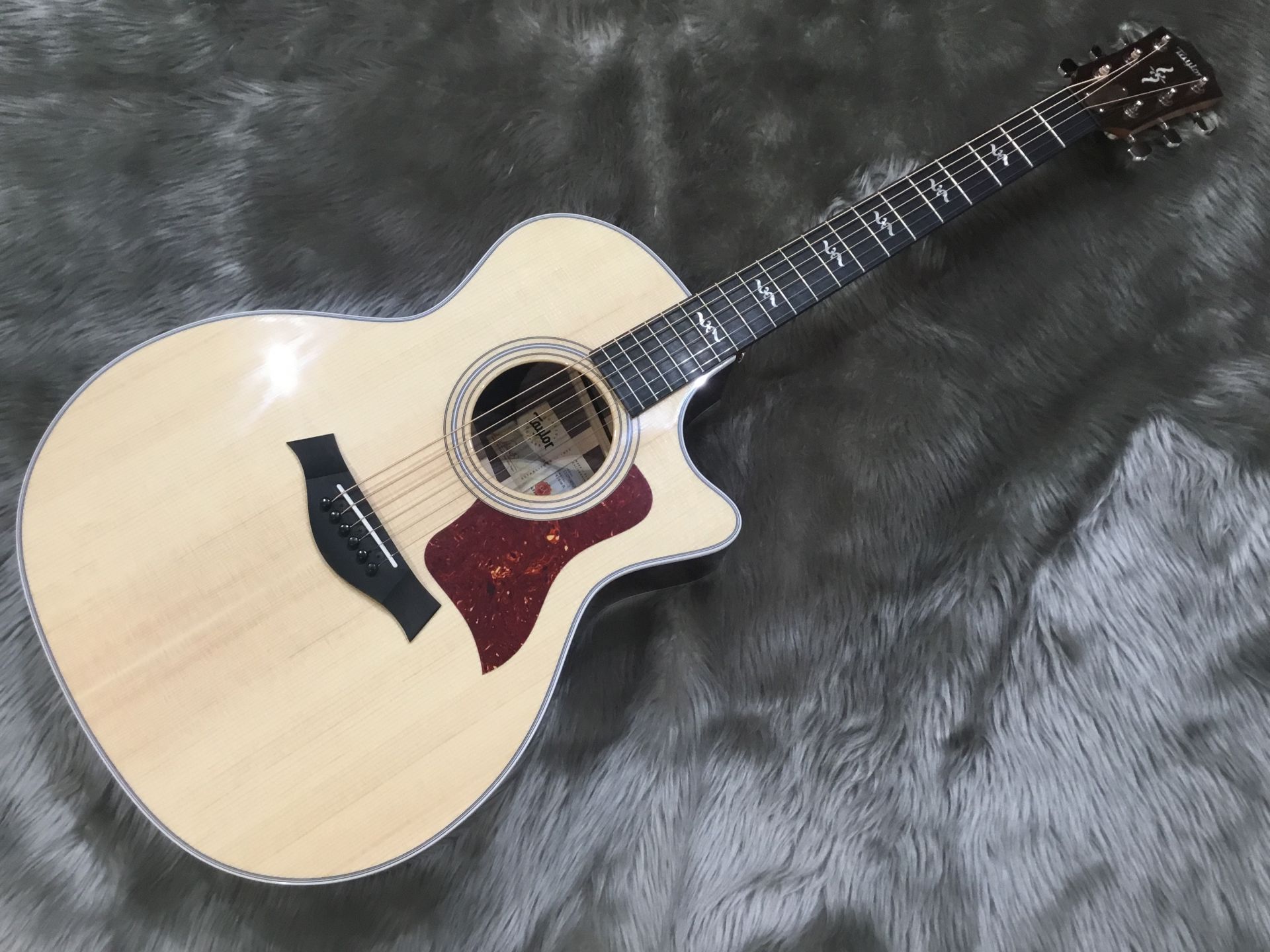 【アコースティックギター】Taylor 414ce RW V-Classが再入荷！