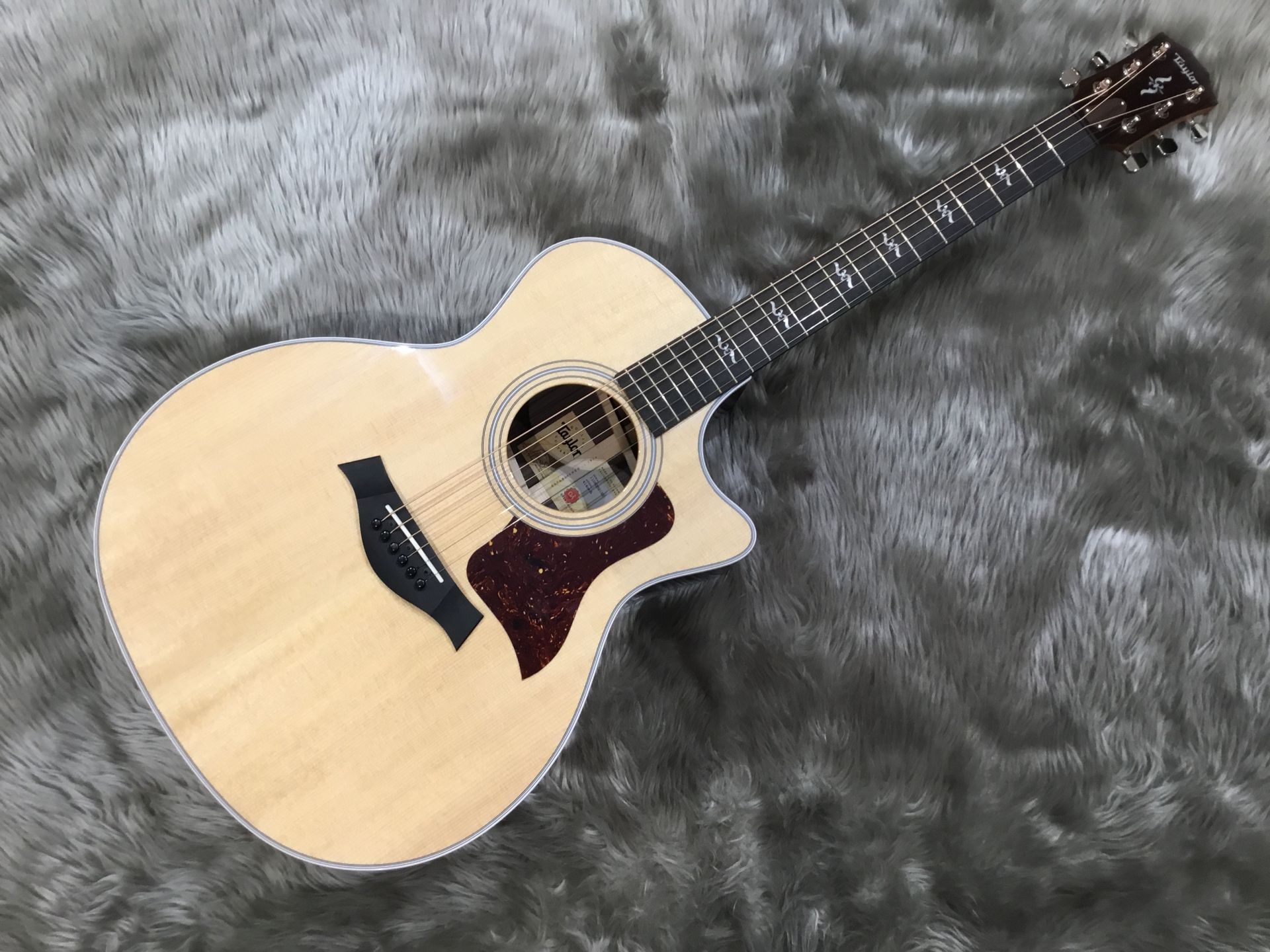 【アコースティックギター】大人気Taylor 414ce RW V-Classが再入荷！