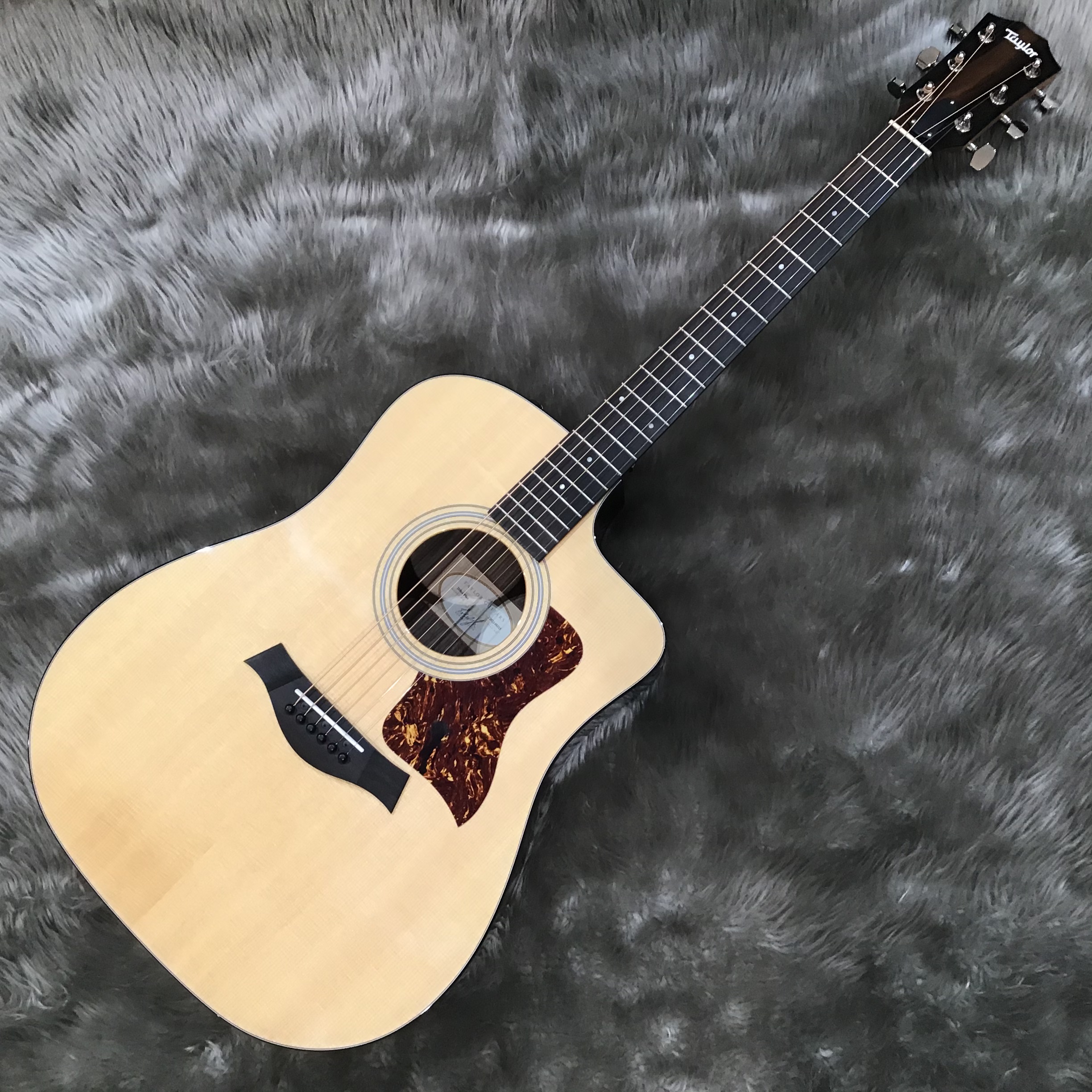 【アコースティックギター】Taylor新製品、210ce Rosewood PLUSが入荷！