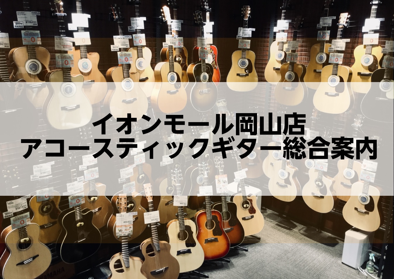 【4/4更新】岡山でアコースティックギターをお探しの方は岡山店へ！【アコースティックギター総合案内】