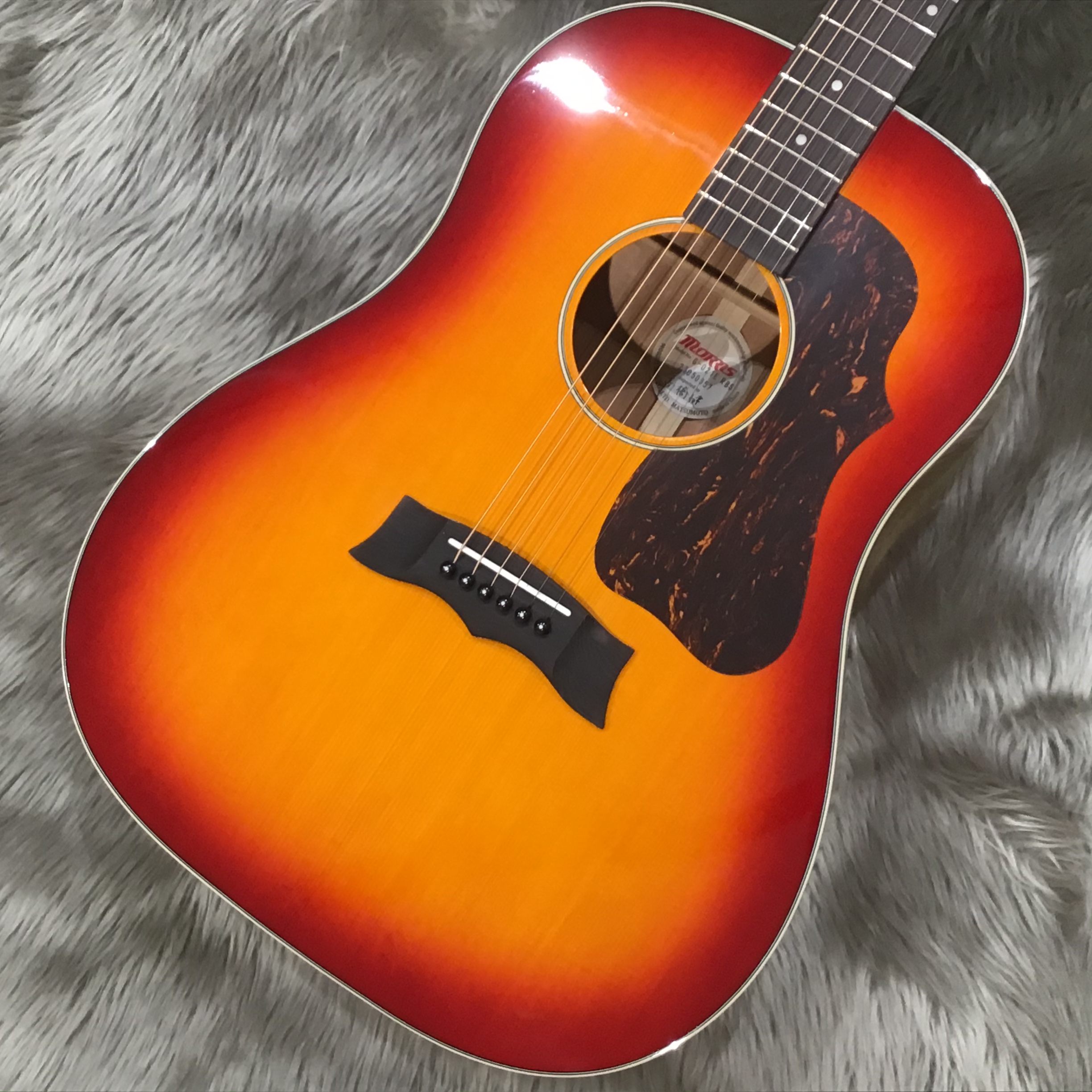 Amazon | モーリス エレアコ MORRIS G-021E 初心者 入門 13点