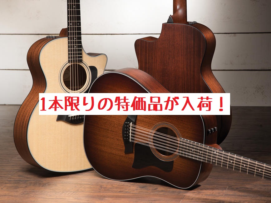 【お買い得！】人気のTaylorギターの特価品が入荷！全て1本限りです！