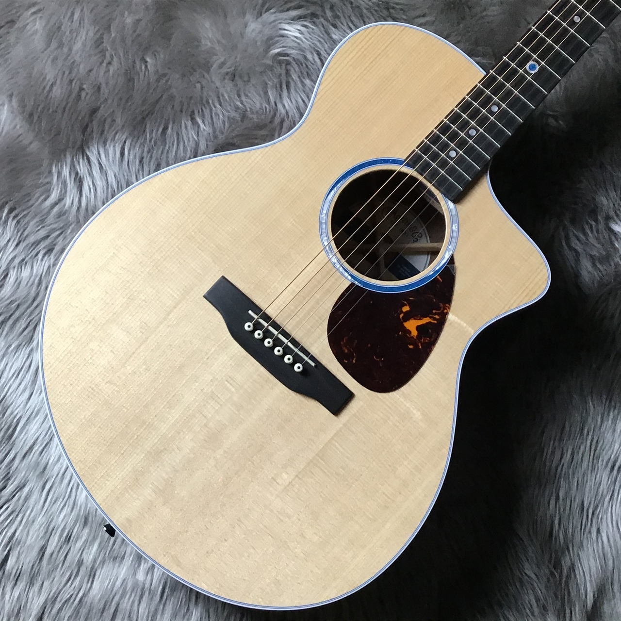 Martin SC-13E