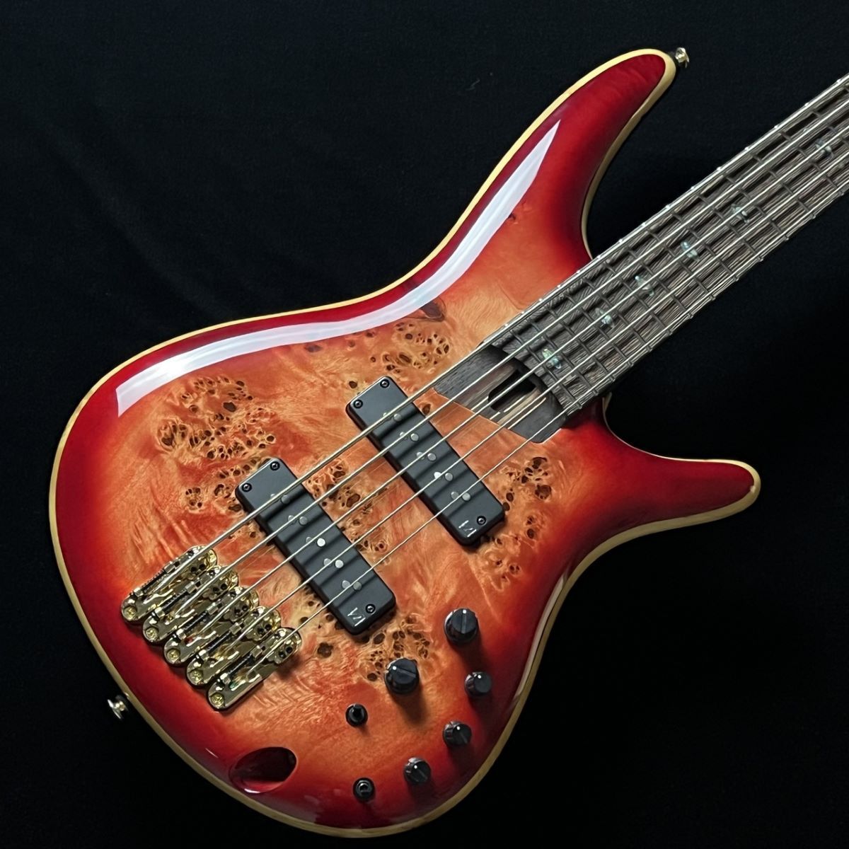 IbanezSR2605 CSB【メーカーサンプル品】