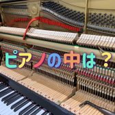 ハマちゃんの音楽通信　Vol.5　調律！