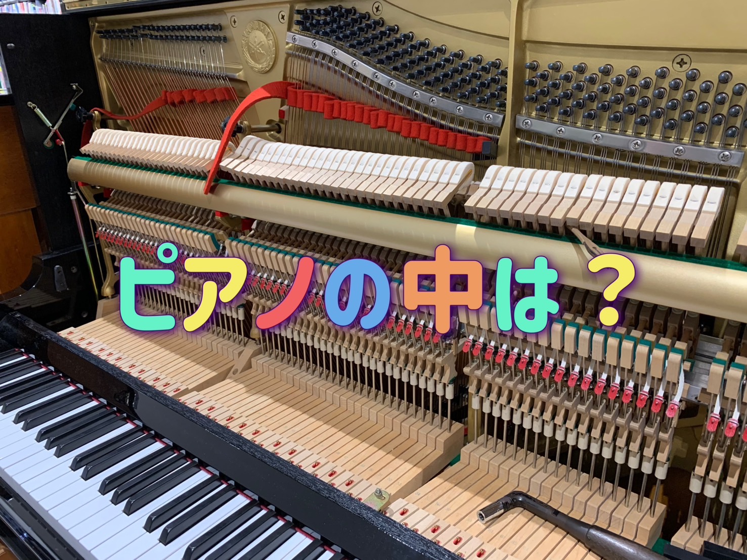 皆様！こんにちは。先日、店頭のアップライトピアノの調律が行われました♪店頭に展示してあるものももちろん、定期的な調律が必要となります。今回は定期調律でピアノの中が大公開されたので、その様子をちらっとお見せします♪ピアノをお持ちの方は見たことある方も多いかもですが、意外とみてると見入ってしまうんですよ […]