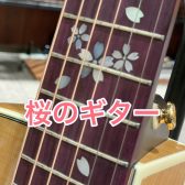 ハマちゃんの音楽通信　Vol.11　さくらのギター