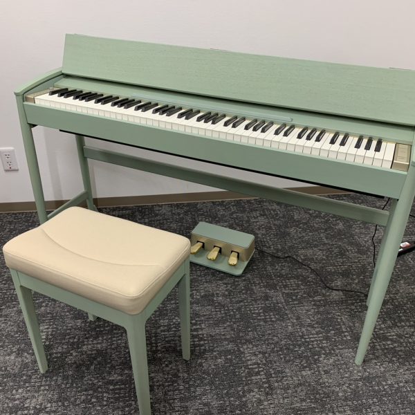 ※店頭導入カラーではありませんが、セラドングリーンもとても素敵な色合いでした♩