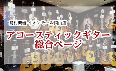 2026最新【アコースティックギター総合案内】アコースティックギターのことならイオンモール岡山店へ