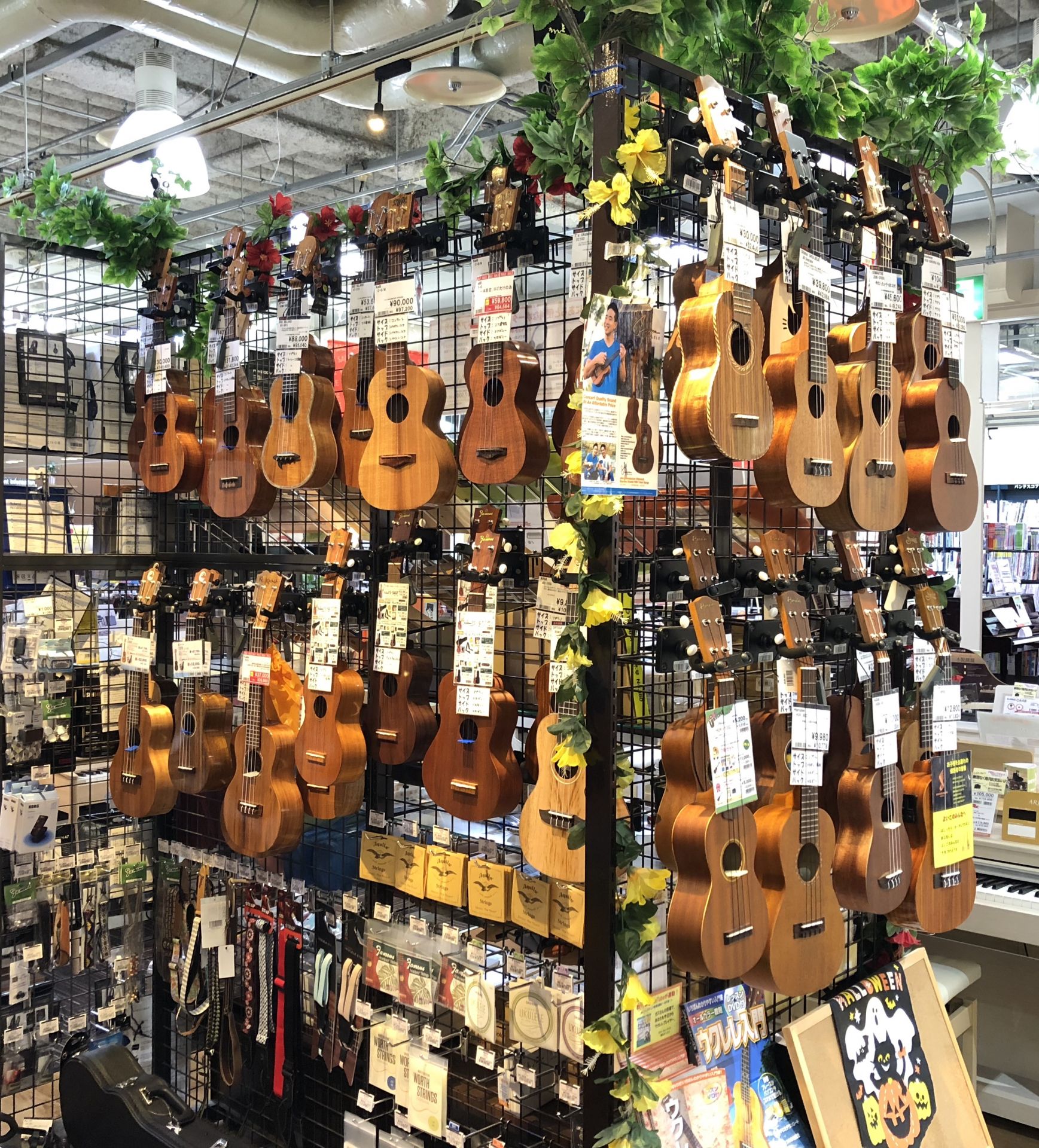 ウクレレをはじめよう！～島村楽器イオンモール岡崎店～