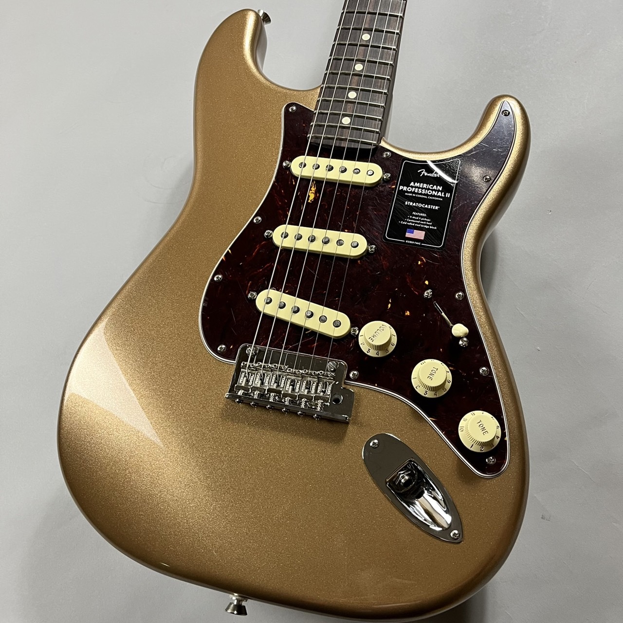 FenderDE AMERICAN PROFESSIONAL Ⅱ ALL ROSE NECK/Spesial Order