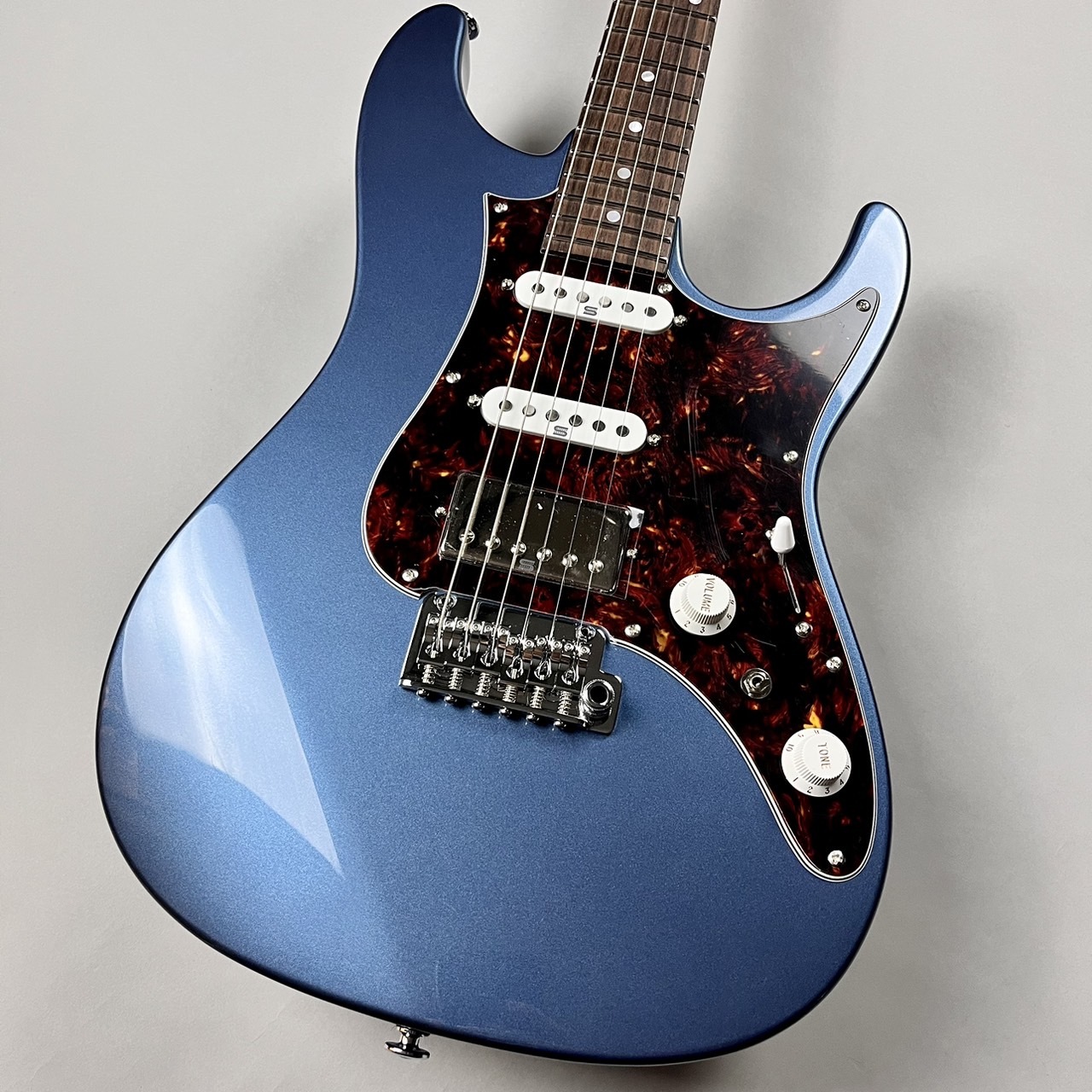 IbanezAZ2204N